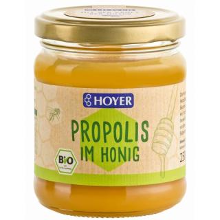 Propolis im Honig         H