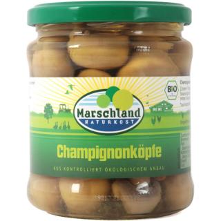 Marschland Champignons