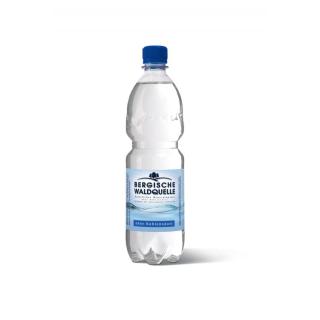 Berg. Waldq. PET 0,5l still