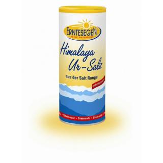 Erntesegen Himalaya Ur-Salz, 400 gr Dose