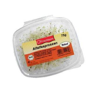 Alfalfasprossen