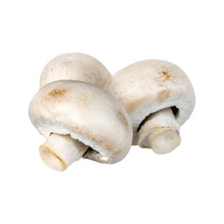 Champignon