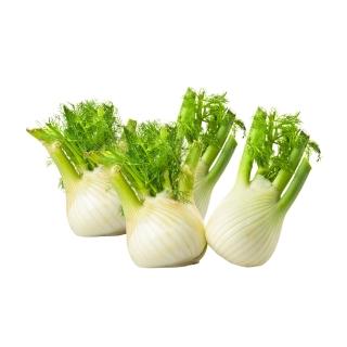 Fenchel