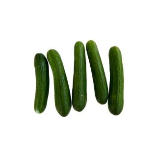 Minigurken