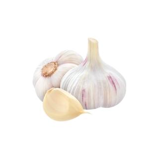 Knoblauch