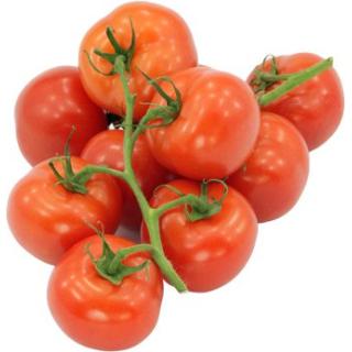 Tomaten, Strauch