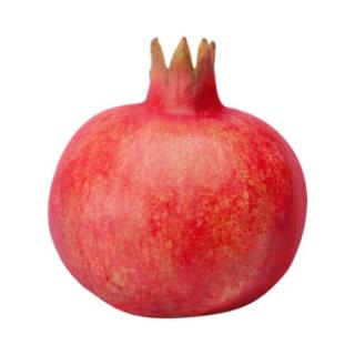 Granatapfel