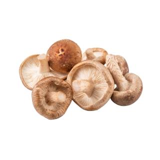 Shiitake