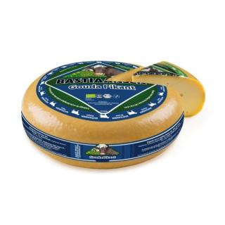 Gouda Pikant, mittelalt